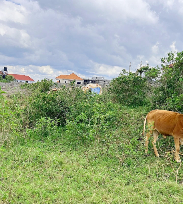 WhatsApp Image 2025-04-15 at 12.12.00 1.jpg